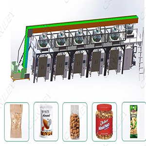 دستگاه بسته بندی مولتی هد ده توزین دستگاه بسته بندی مولتی هد ده توزین